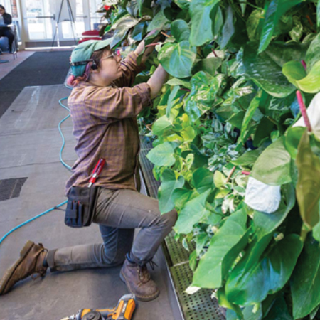 Growing Green Inside the Union