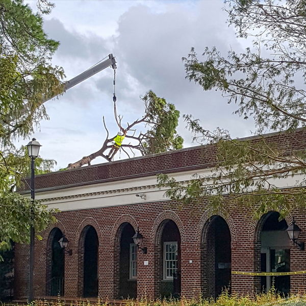 Professionals Recall Experiences as Hurricane Season Begins